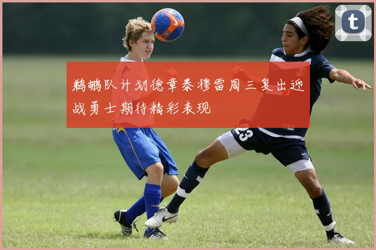 鹈鹕队计划德章泰穆雷周三复出迎战勇士期待精彩表现