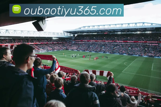 欧宝体育APP 封面图